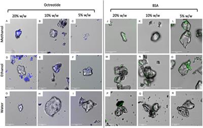 Mesoporous Silica Microparticle-Protein Complexes: Effects of Protein Size and Solvent Properties on Diffusion and Loading Efficiency